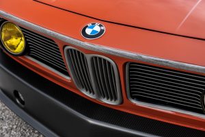 Front BMW grill