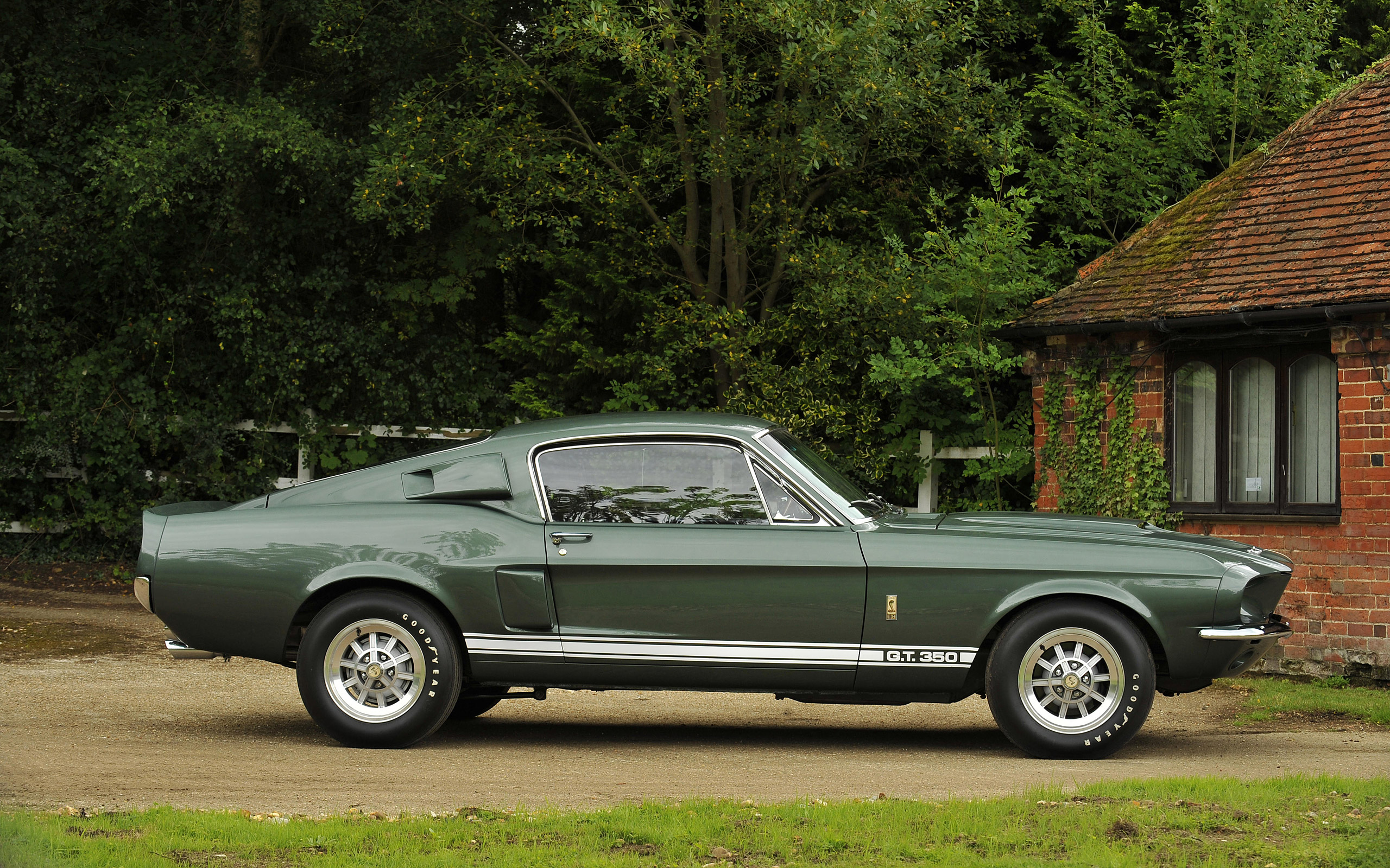 Ford Shelby Mustang GT350