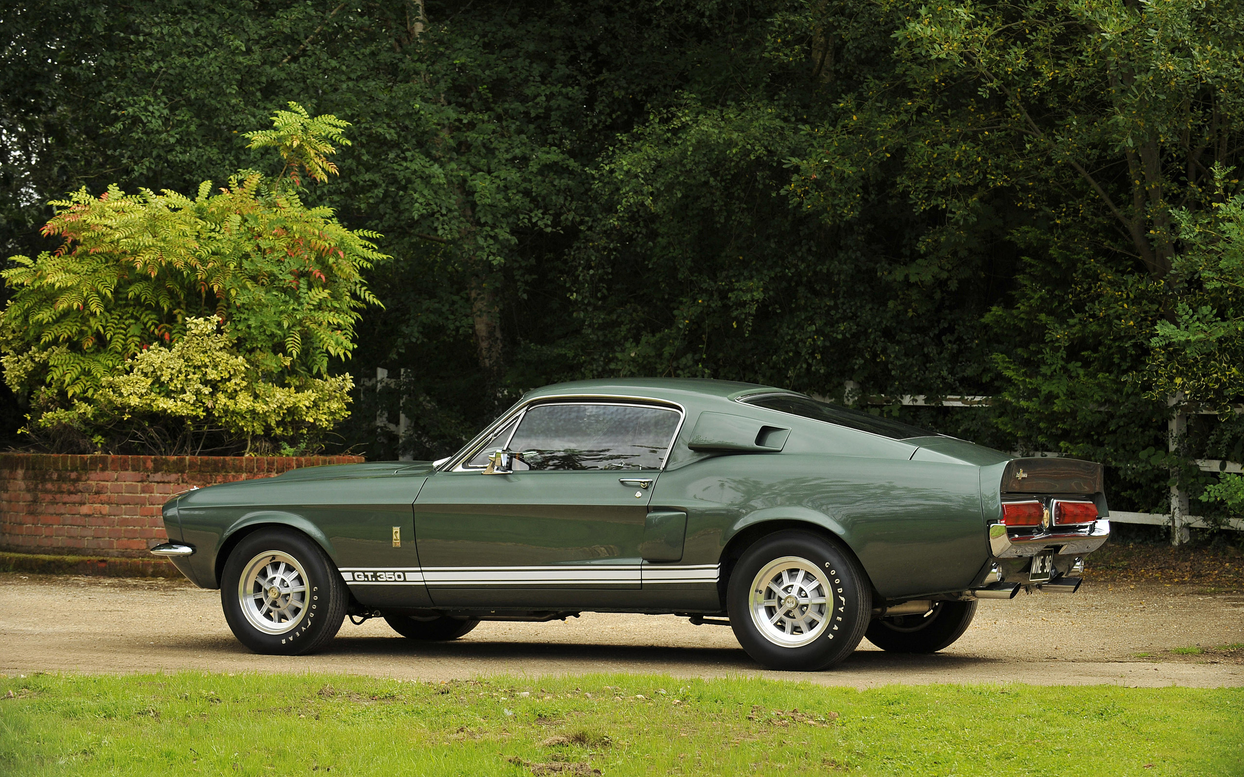 Ford Shelby Mustang GT350