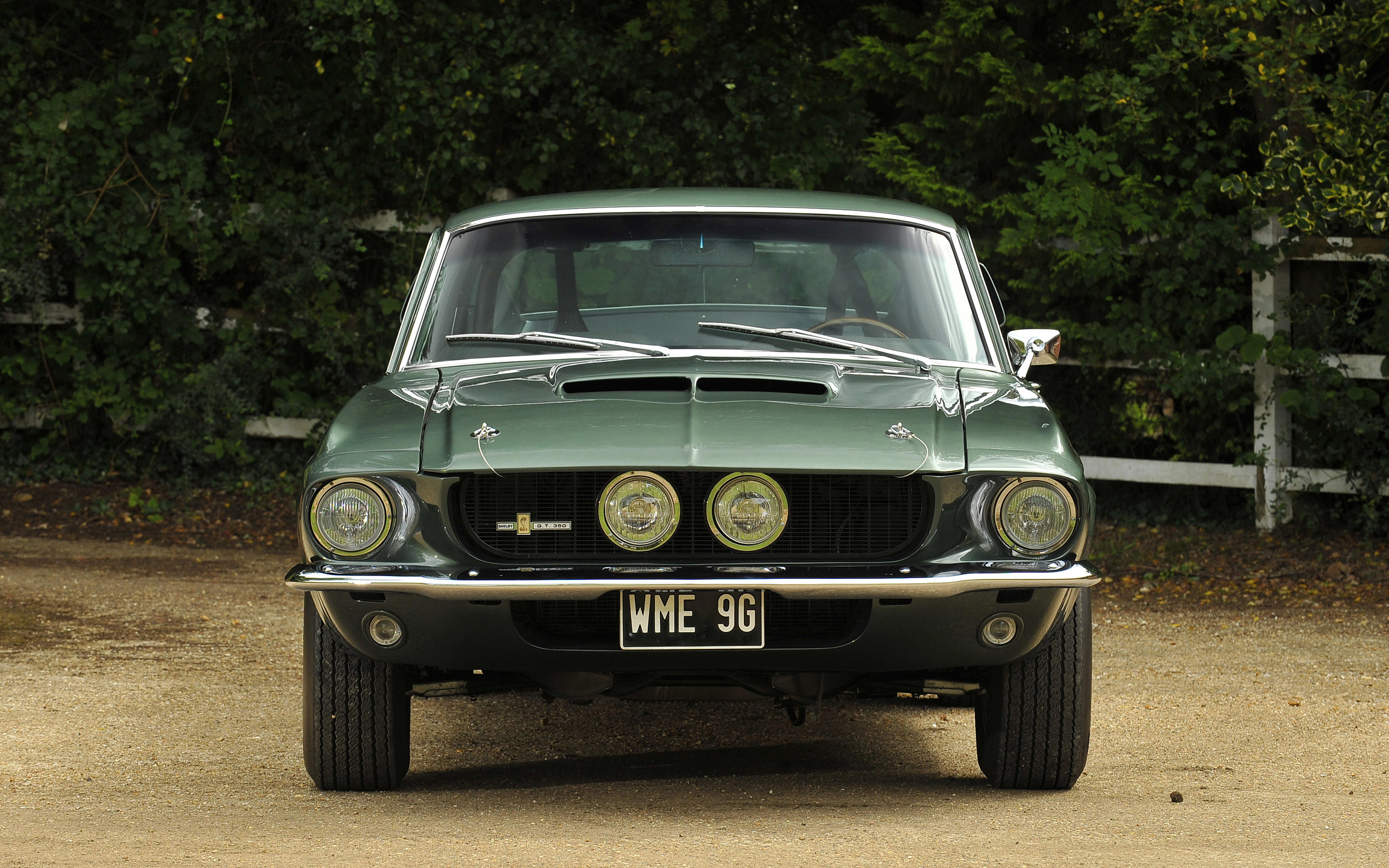 Ford Shelby Mustang GT350